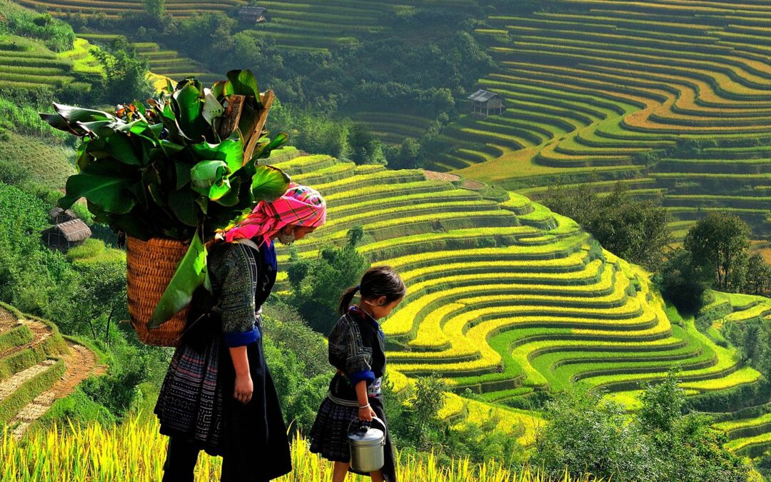 baguio Banaue Rice Terraces ECL 아카데미 무료가이드