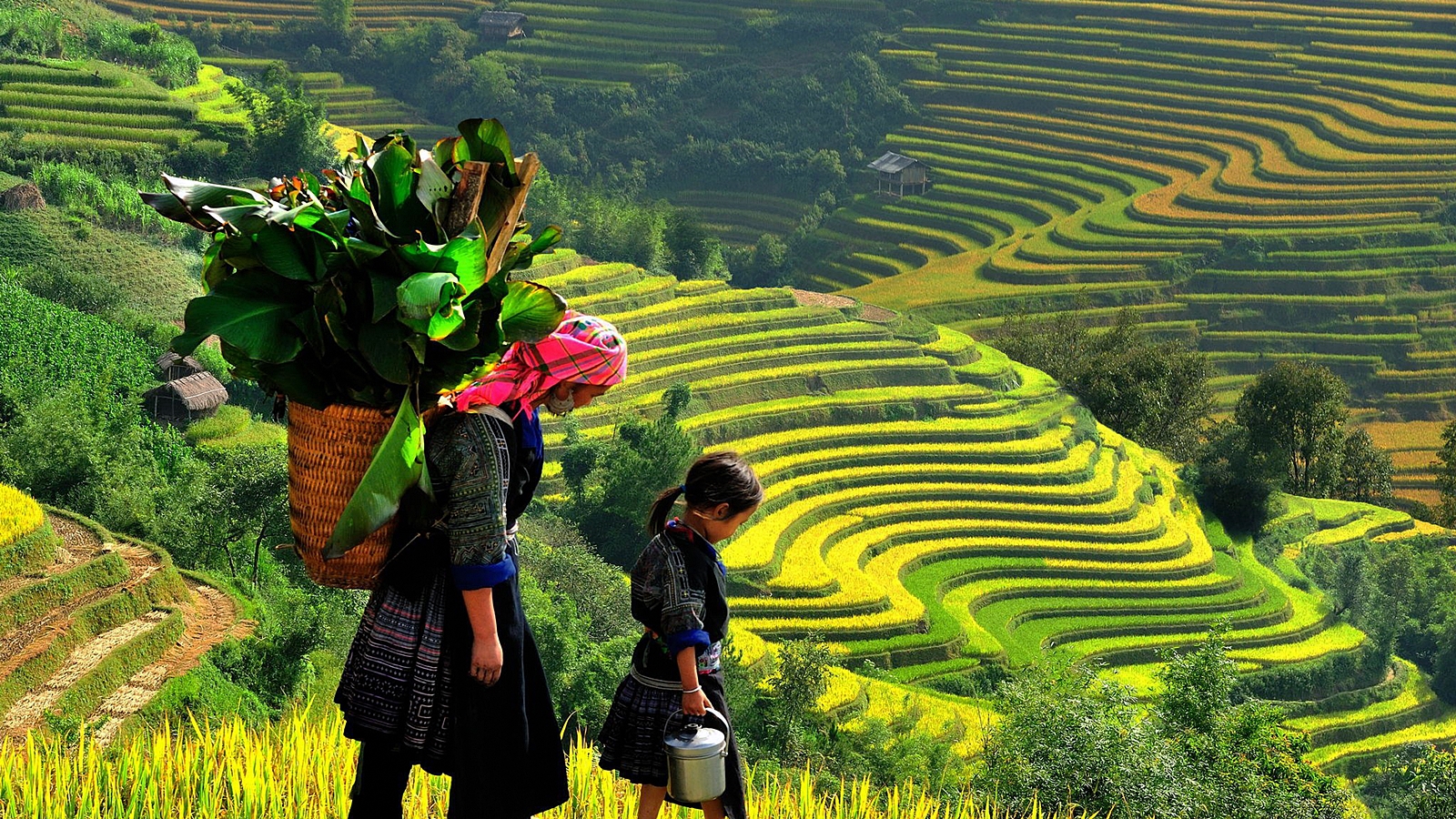 baguio Banaue Rice Terraces ECL 아카데미 무료가이드